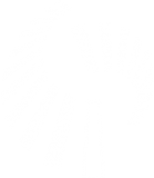 Logo Actus survol