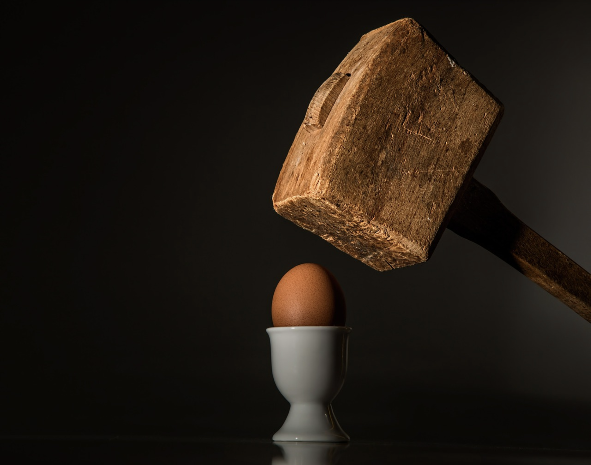 Lire la suite à propos de l’article La carence du syndic non-professionnel