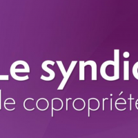 Couverture de l'ouvrage intitulé le syndic de copropriété