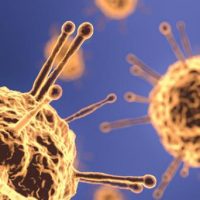 image de cellules de covid-19