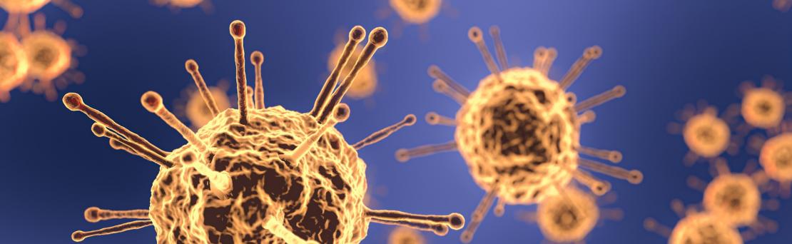 Lire la suite à propos de l’article Droit de la copropriété et Covid-19