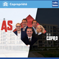 Prestations de services du syndic de copropriété - jacquette de l'émission