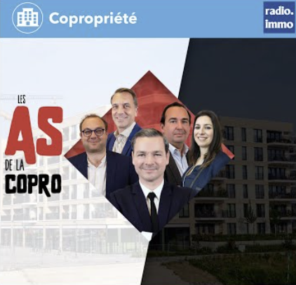 Lire la suite à propos de l’article Le syndic est-il un mandataire ou un prestataire de services ?